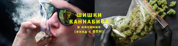 гашик Гусь-Хрустальный