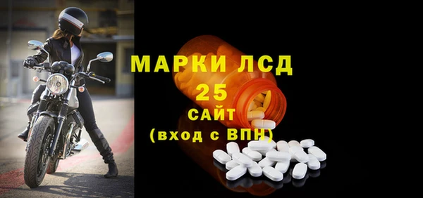 гашик Гусь-Хрустальный