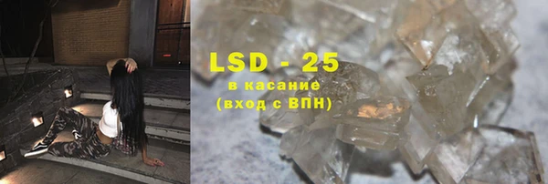 стаф Кущёвская
