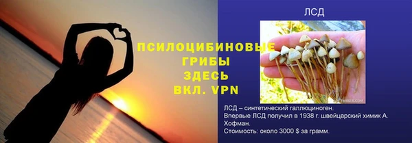гашик Гусь-Хрустальный