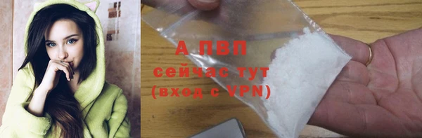 гашик Гусь-Хрустальный