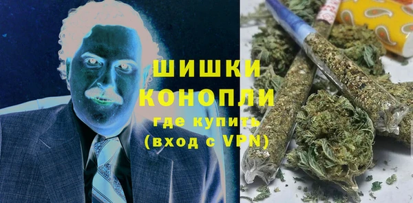 гашик Гусь-Хрустальный