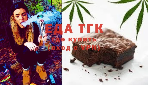 гашик Гусь-Хрустальный