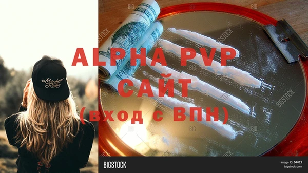 гашик Гусь-Хрустальный