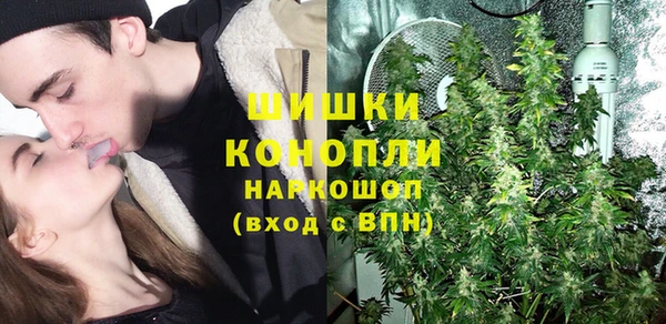 гашик Гусь-Хрустальный
