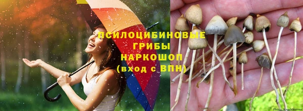 гашик Гусь-Хрустальный
