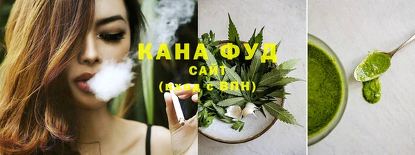 гашик Гусь-Хрустальный